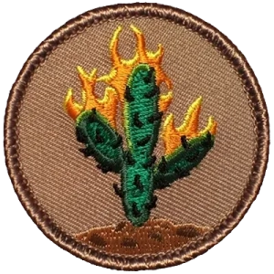 embroidered-patches